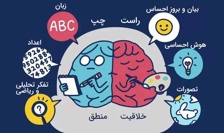 یک تست برای اینکه بفهمید چپ مغزید یا راست مغز؟ - هنر فردی