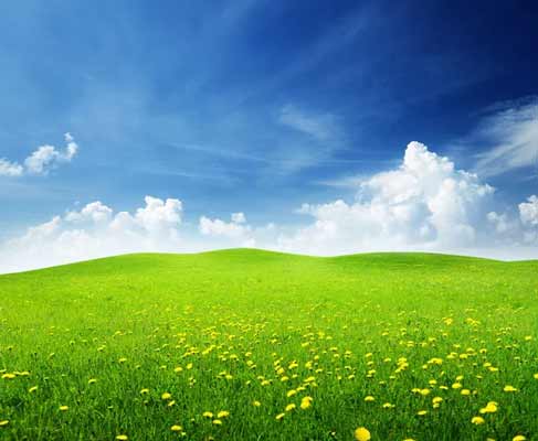 سبز و آبی در طبیعت