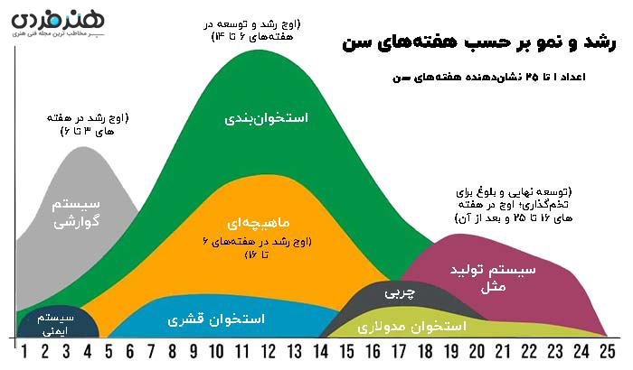هنرفردی 