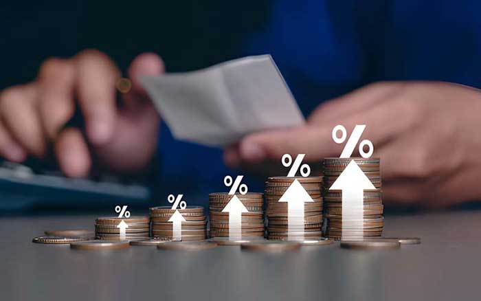 ریپورتاژ سود سرمایه گذاری