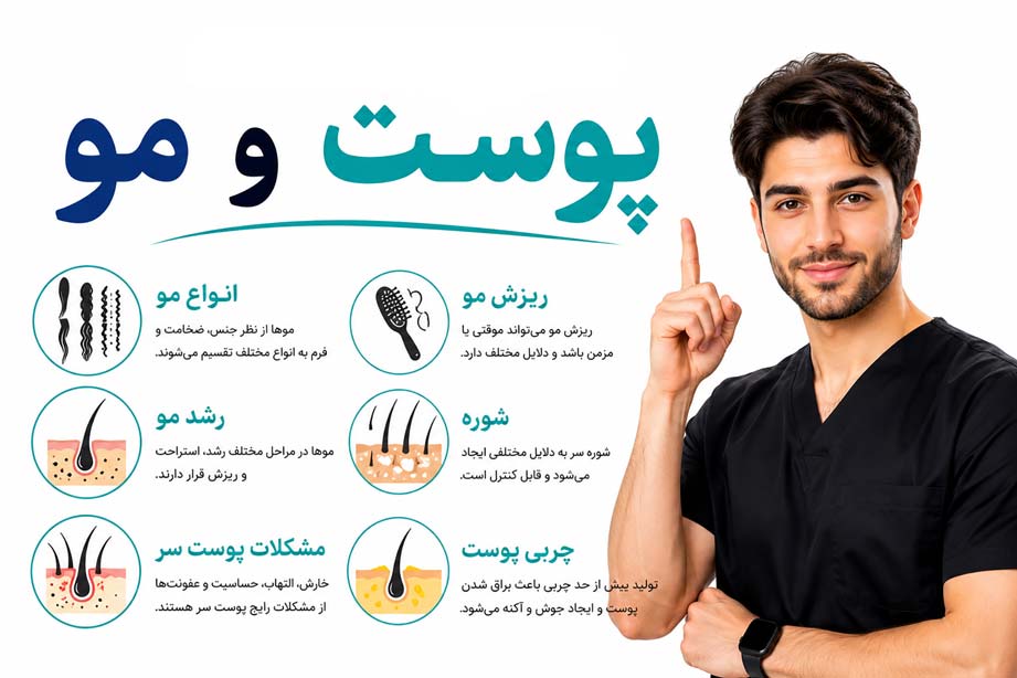 ساختمان پوست و مو