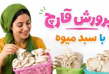 پرورش قارچ در سبد میوه در خانه از 0 تا 100 (فیلم و نکات مهم)