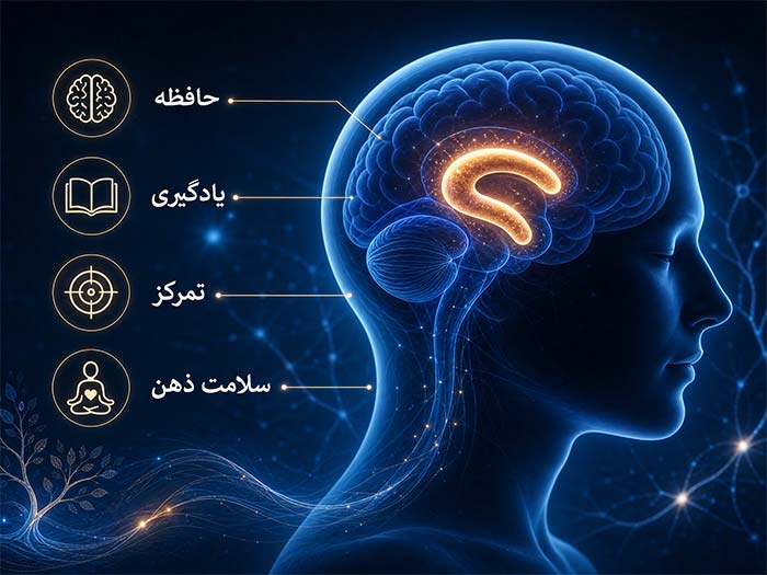کورکومین (Curcumin): ادویه طلایی برای مغز