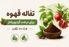 تفاله قهوه برای درخت گردو+ برای درخت انار (0 تا 100 نکات)
