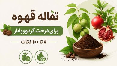 نگهداری از گیاهان تفاله قهوه برای درخت گردو+ برای درخت انار (0 تا 100 نکات)