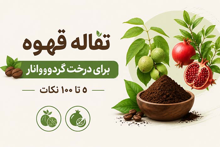 تفاله قهوه برای درخت گردو+ برای درخت انار (0 تا 100 نکات)